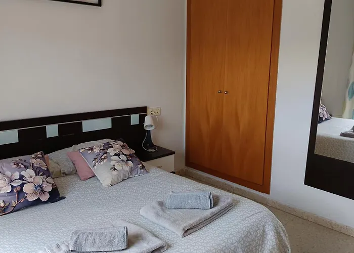 Disfruta Granada,Incluso Con Tu Mascota Parking