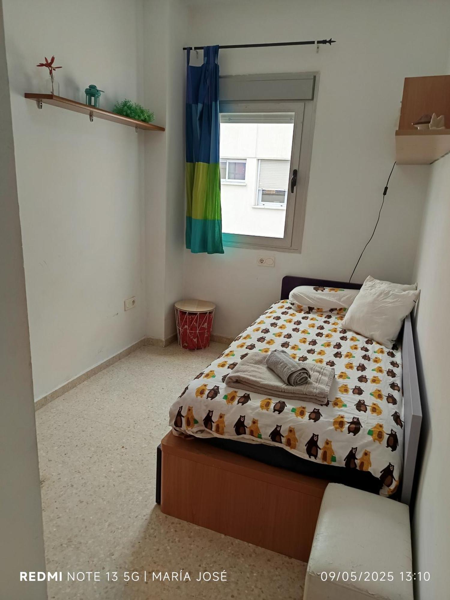 Disfruta Granada,incluso Con Tu Mascota Parking Granada