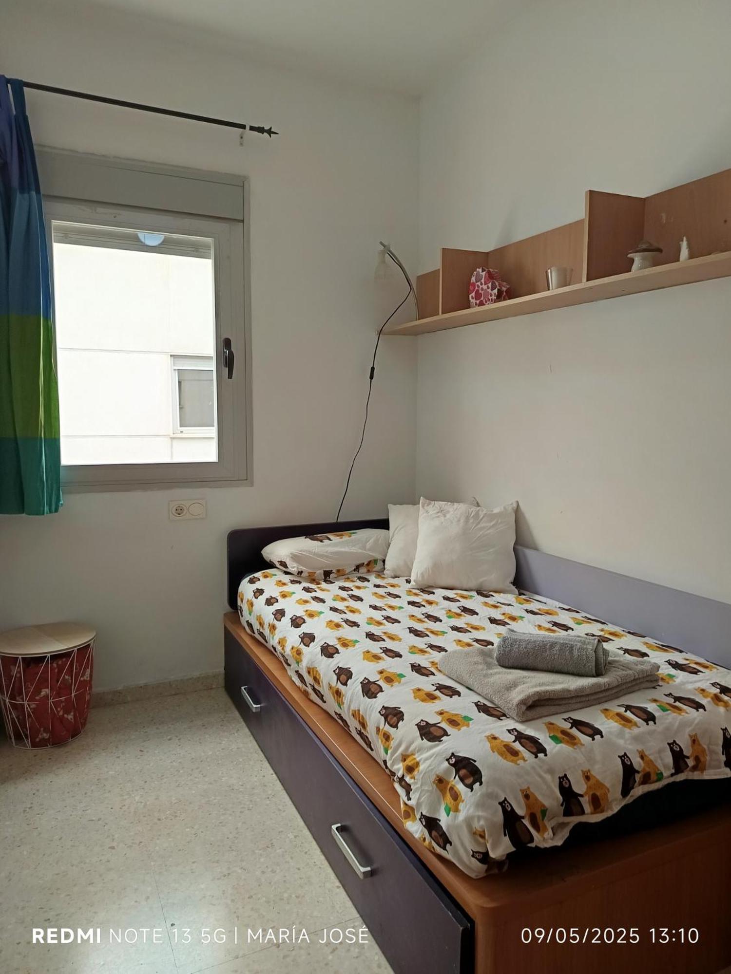Disfruta Granada,incluso Con Tu Mascota Parking