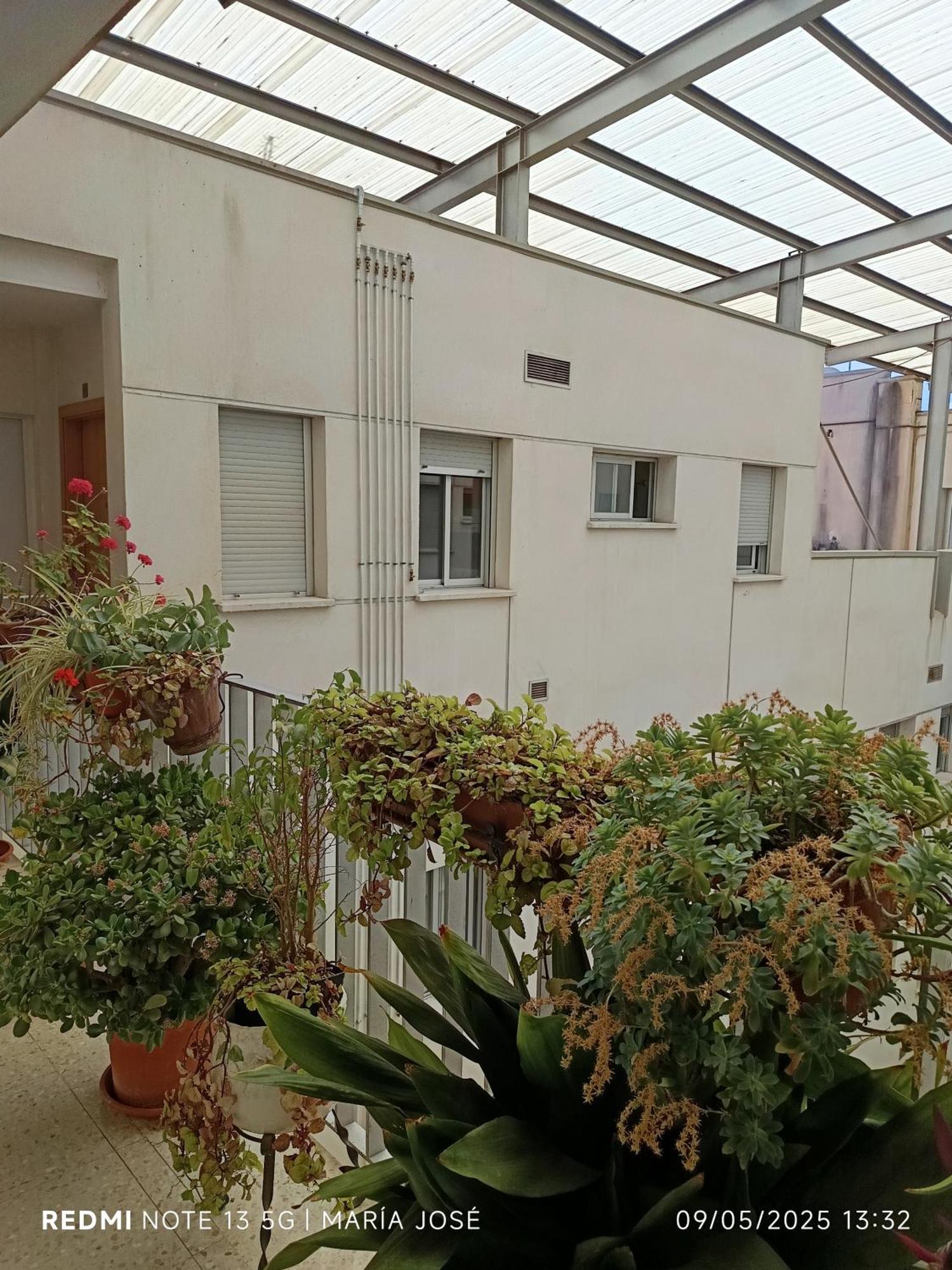 Disfruta Granada,incluso Con Tu Mascota Parking Apartment *